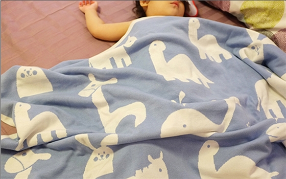 服務(wù)詳解:絨毛毯 羊毛毯圖