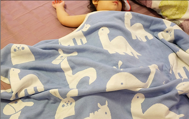 服務(wù)詳解:絨毛毯 羊毛毯圖